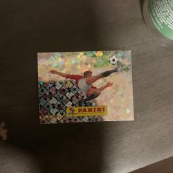 Fifa World Cup Panini Stickers