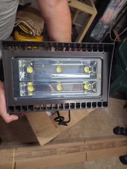Rabbit Flood Light