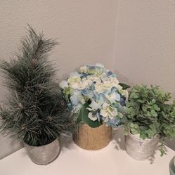 Faux Plants 