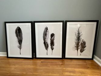Frames Feather prints (3 set)