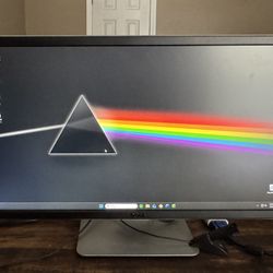 Dell 24” Monitor  (P2414HB)