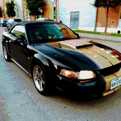 2002 Ford Mustang