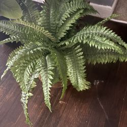 Fake Plants 2$ Each