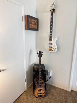 Spector Euro 5 Custom New