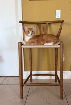 Wishbone Counter Stools