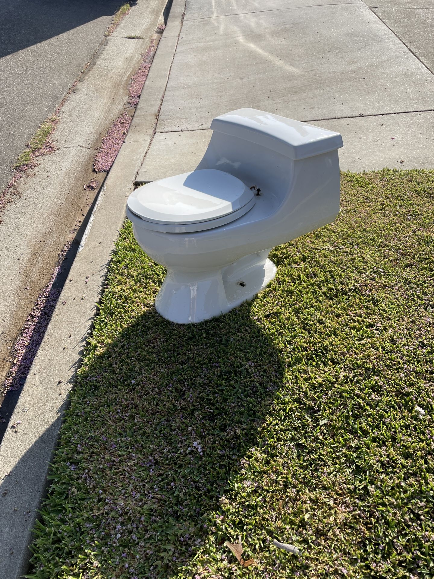 Kohler Toilet (San Souci)