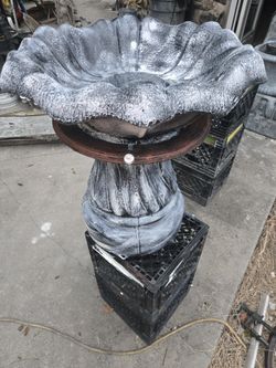 Catawba TULIP BIRDBATH