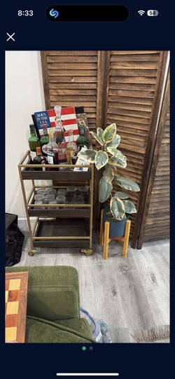 World Market Bar Cart