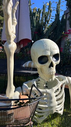 Giant Groundbreaking Skeleton