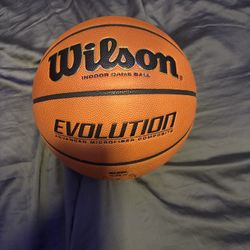 Wilson evolution brand new men’s ball 