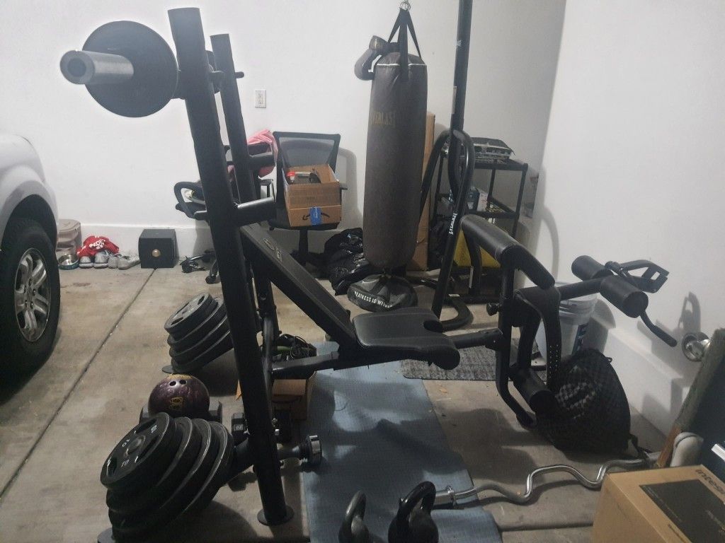 Weights, Bench And Punching Bag With Stand