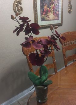 Orchids (2)
