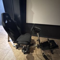 Logitech G29 Steering Wheel/Pedals/Shifter Setup w/ Seat Stand