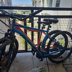 Two Adult Bikes 