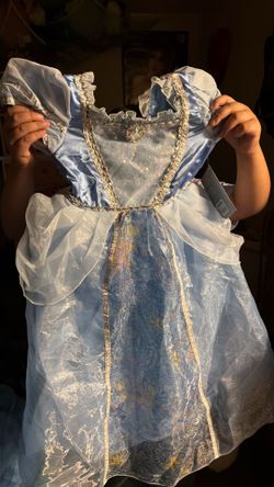 New Cinderella Dress