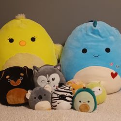 Squishmallow Collection For Sale