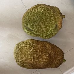 Organic Jackfruit 
