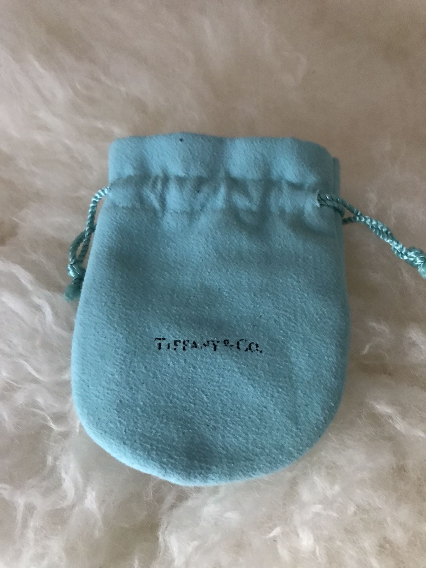 Tiffany & Co. Jewelry Bag