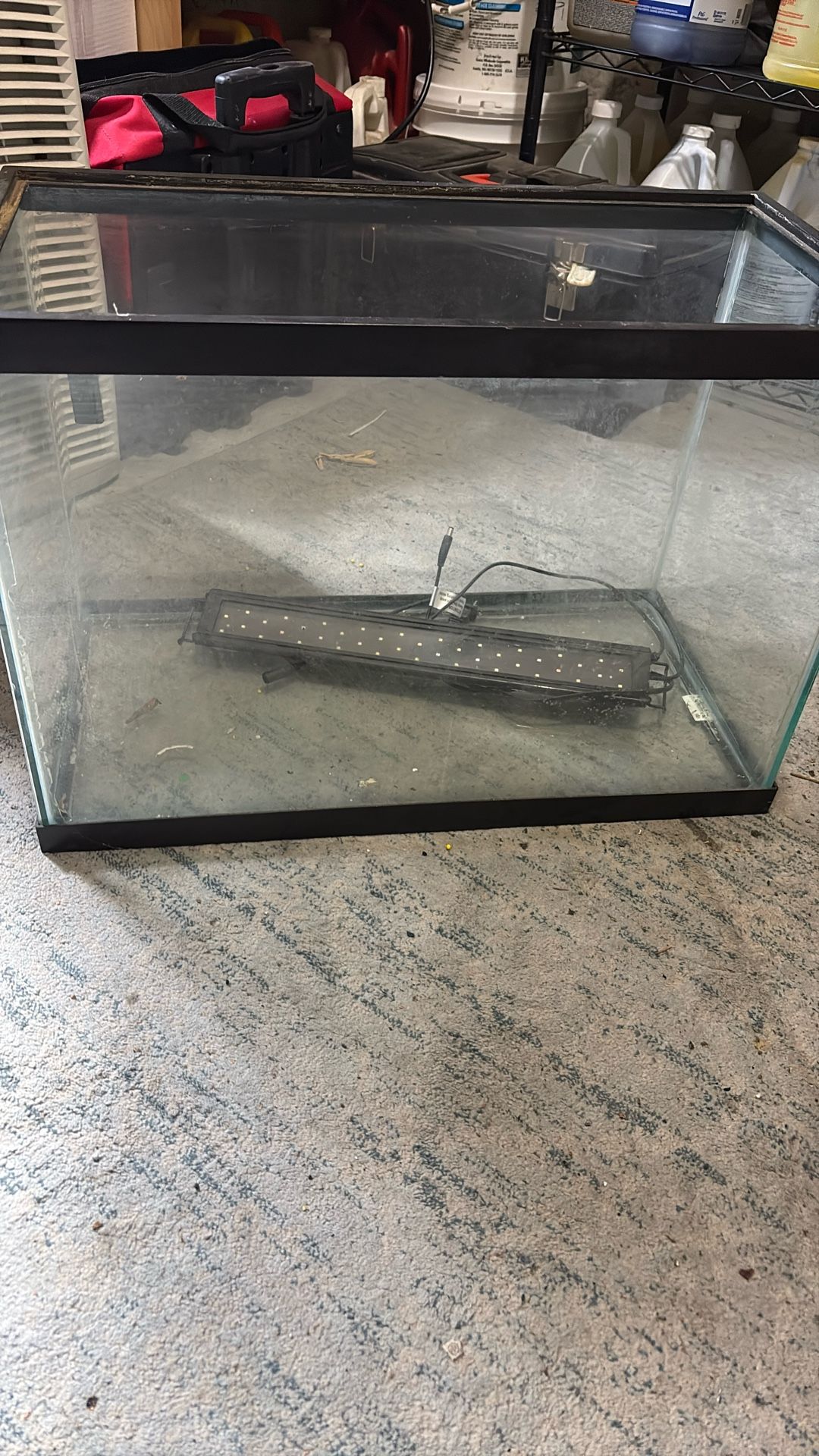 Fish Tank