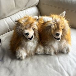 Pomeranian Slippers ONE SIZE 