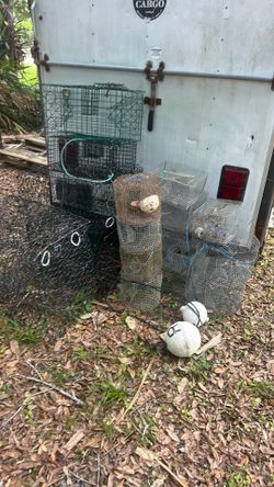 Crab and pin fish traps