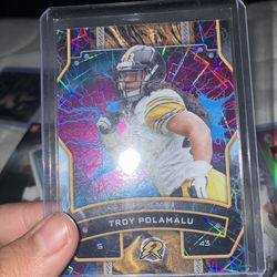 Troy palamalu card