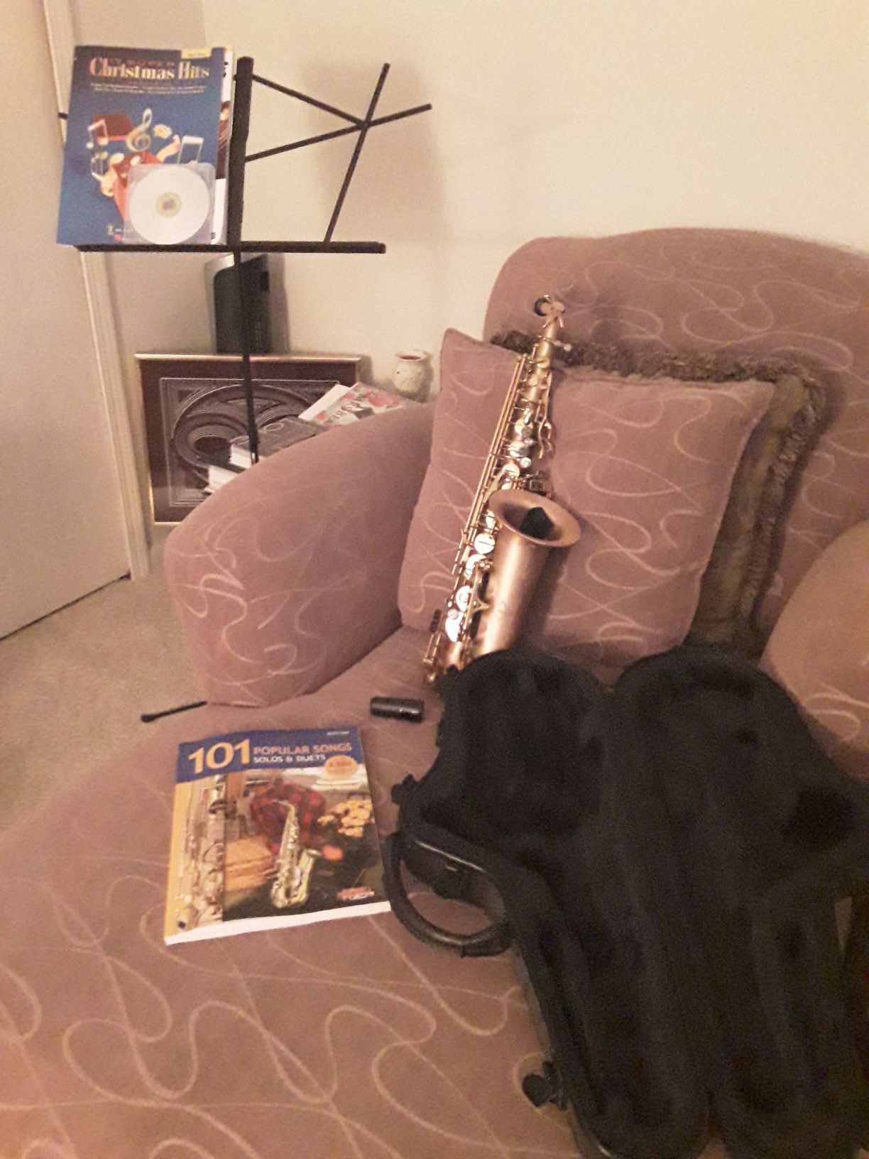 Alto Saxophone. Brand new!