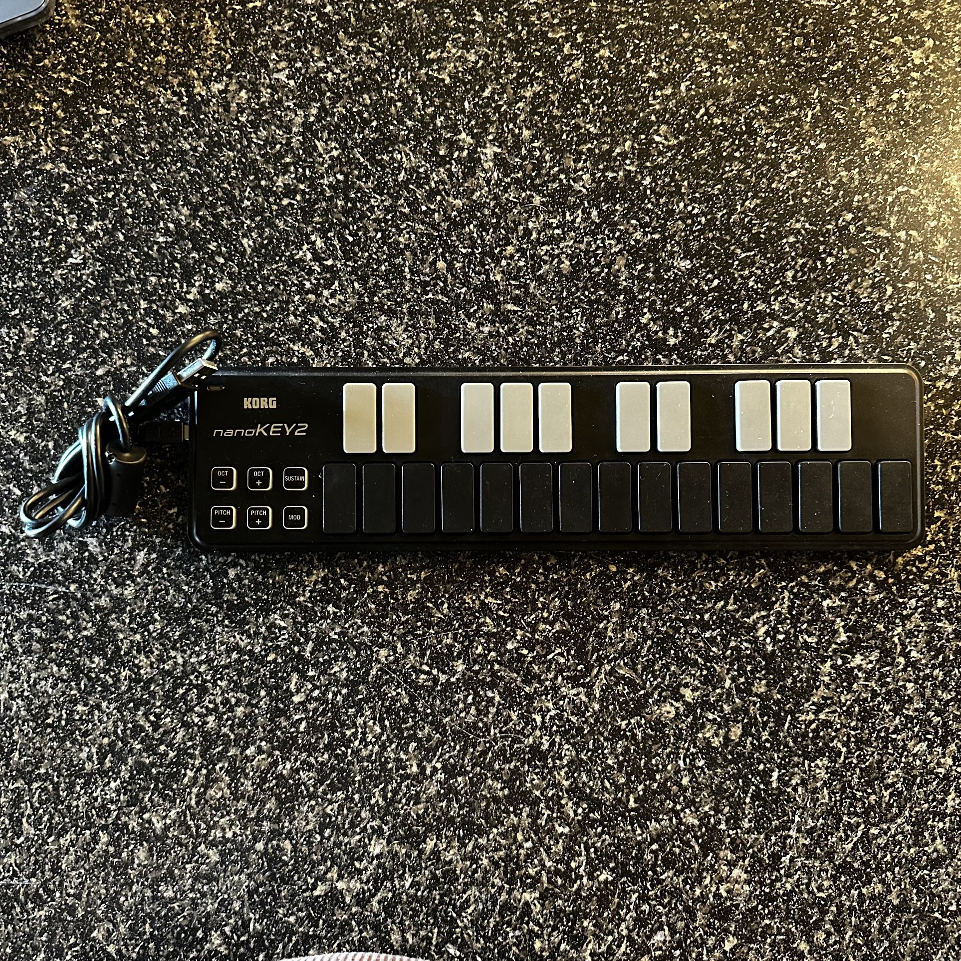 Nanokorg