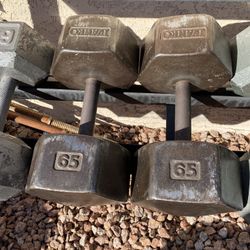 Ivanko 65lb Hex Iron Dumbbell Set Weights 