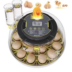egg incubator 