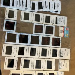 Pacific Northwest Slides   Hoh, Rainier, St.  Helens, Seattle 