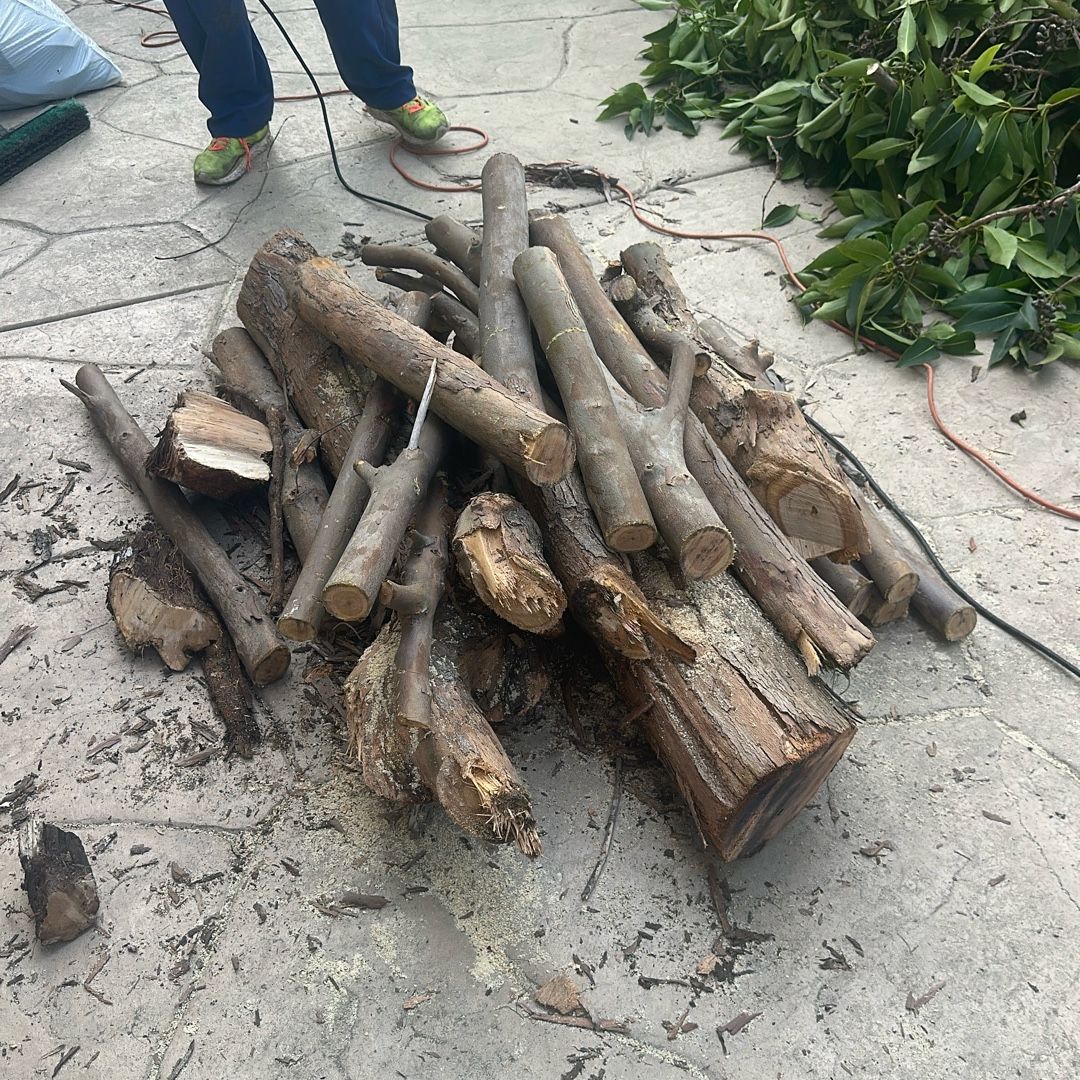 Normal Chula FREE Wood for Sale in Chula Vista, CA - OfferUp