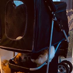 Puppy Stroller 