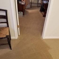 Carpet, Rugs , Matress Cleaner