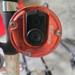 Baitcaster On Rod 