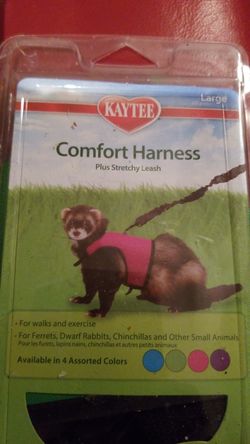 Comfort harness plus stretchy leash
