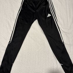 Adidas Pants