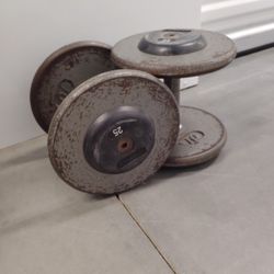 25 Pounds Dumbbells 