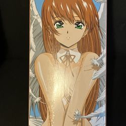 Skateboard Deck 