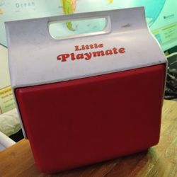 Igloo Little Playmate Lunchbox