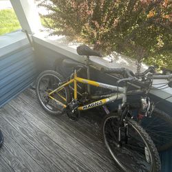 Mountain Bike (yellow One)