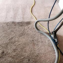 Carpet/Upholstery Steam Clenr 