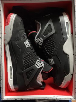 2019 Bred 4s