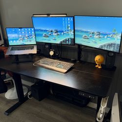 Standing Desk & 2 Monitors With Arm Stand