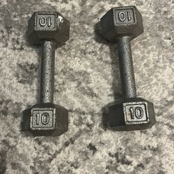 10lb Dumbbells 