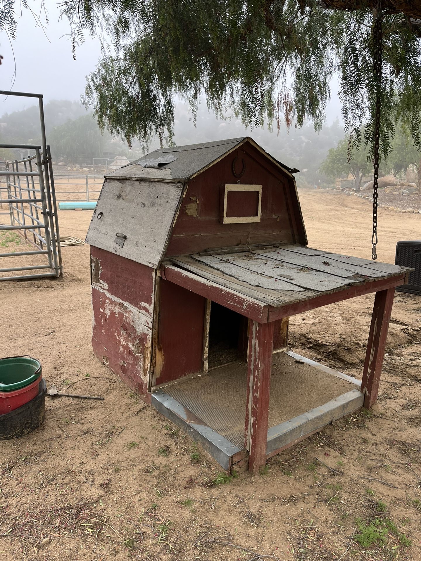 Dog House And Chicken Coop