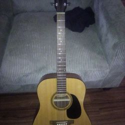 Acoustic Guitar 