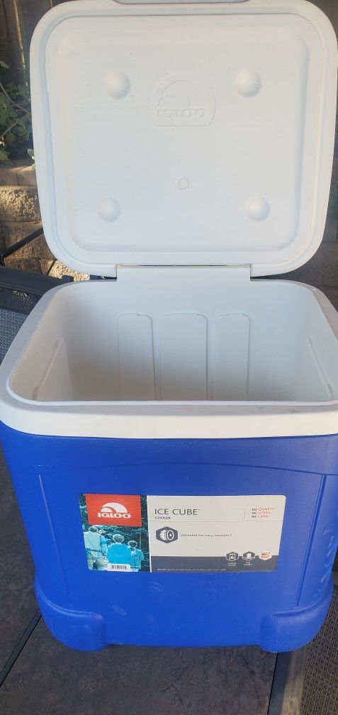 Igloo Cooler