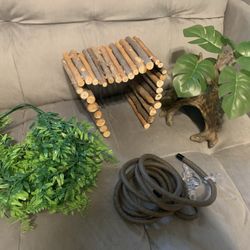 Reptile Items 