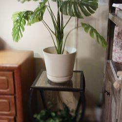 Accent Table - Plant Stand